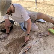 Profesor de historia particular. Además de estar finalizando estudios de Arqueología en la Universidad de Sevilla